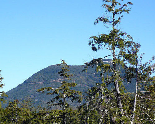 Cabins West Ucluelet Exterior photo